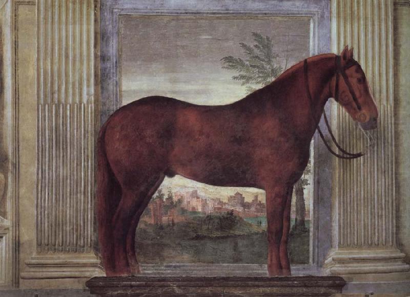 Giulio Romano Drawing-rooms dei Cavalli china oil painting image